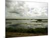 Everglades Restoration-J. Pat Carter-Mounted Photographic Print