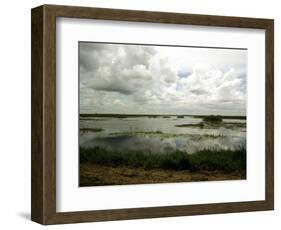 Everglades Restoration-J. Pat Carter-Framed Photographic Print