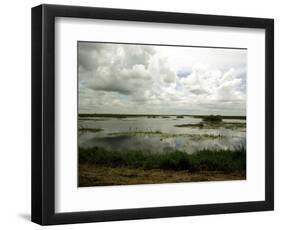 Everglades Restoration-J. Pat Carter-Framed Photographic Print