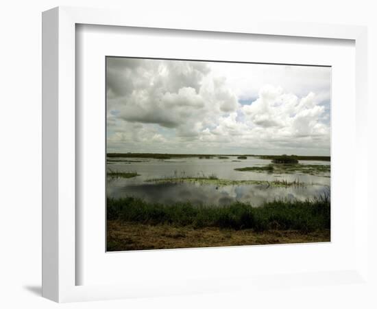 Everglades Restoration-J. Pat Carter-Framed Photographic Print