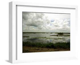 Everglades Restoration-J. Pat Carter-Framed Photographic Print