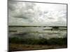 Everglades Restoration-J. Pat Carter-Mounted Photographic Print