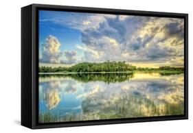 Everglades Sunset-Dennis Goodman-Framed Stretched Canvas