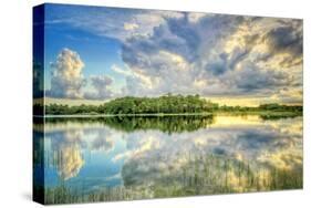 Everglades Sunset-Dennis Goodman-Stretched Canvas