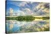 Everglades Sunset-Dennis Goodman-Stretched Canvas