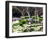 Everglades Tourism-David Adame-Framed Premium Photographic Print