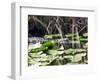 Everglades Tourism-David Adame-Framed Photographic Print