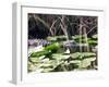 Everglades Tourism-David Adame-Framed Photographic Print