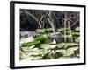 Everglades Tourism-David Adame-Framed Photographic Print