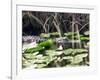 Everglades Tourism-David Adame-Framed Photographic Print