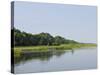 Everglades, UNESCO World Heritage Site, Florida, United States of America, North America-Michael DeFreitas-Stretched Canvas