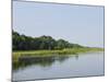 Everglades, UNESCO World Heritage Site, Florida, United States of America, North America-Michael DeFreitas-Mounted Photographic Print