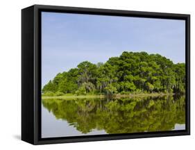 Everglades, UNESCO World Heritage Site, Florida, United States of America, North America-Michael DeFreitas-Framed Stretched Canvas