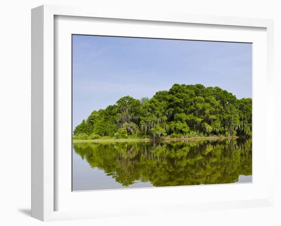 Everglades, UNESCO World Heritage Site, Florida, United States of America, North America-Michael DeFreitas-Framed Photographic Print