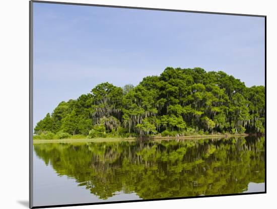 Everglades, UNESCO World Heritage Site, Florida, United States of America, North America-Michael DeFreitas-Mounted Photographic Print