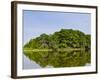 Everglades, UNESCO World Heritage Site, Florida, United States of America, North America-Michael DeFreitas-Framed Photographic Print