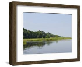 Everglades, UNESCO World Heritage Site, Florida, United States of America, North America-Michael DeFreitas-Framed Photographic Print