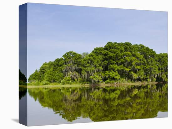 Everglades, UNESCO World Heritage Site, Florida, United States of America, North America-Michael DeFreitas-Stretched Canvas
