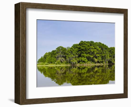 Everglades, UNESCO World Heritage Site, Florida, United States of America, North America-Michael DeFreitas-Framed Photographic Print