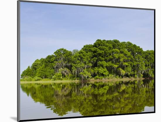 Everglades, UNESCO World Heritage Site, Florida, United States of America, North America-Michael DeFreitas-Mounted Photographic Print