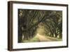 Evergreen Alley-William Guion-Framed Giclee Print