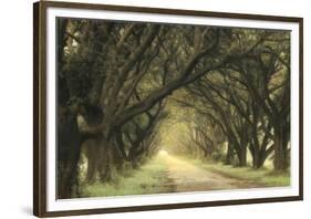 Evergreen Alley-William Guion-Framed Giclee Print