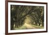 Evergreen Alley-William Guion-Framed Giclee Print