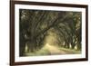 Evergreen Alley-William Guion-Framed Giclee Print