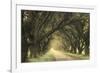 Evergreen Alley-William Guion-Framed Giclee Print