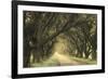 Evergreen Alley-William Guion-Framed Giclee Print