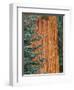 Evergreen and Sequoia Tree Trunk-Aaron Horowitz-Framed Photographic Print