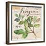 Evergreen Branch…Sketchbook-Angela Staehling-Framed Art Print