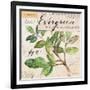 Evergreen Branch…Sketchbook-Angela Staehling-Framed Art Print