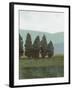 Evergreen I-Norman Wyatt Jr.-Framed Art Print