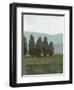 Evergreen I-Norman Wyatt Jr.-Framed Art Print