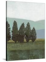 Evergreen I-Norman Wyatt Jr.-Stretched Canvas