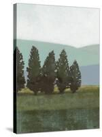 Evergreen I-Norman Wyatt Jr.-Stretched Canvas