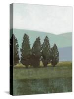 Evergreen I-Norman Wyatt Jr.-Stretched Canvas