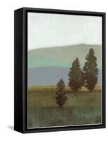 Evergreen II-Norman Wyatt, Jr.-Framed Stretched Canvas