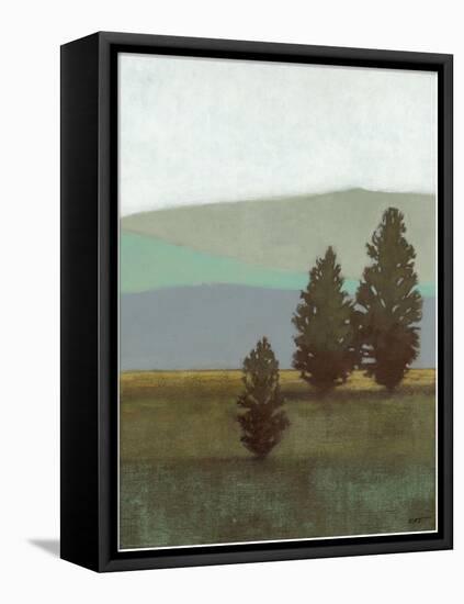 Evergreen II-Norman Wyatt, Jr.-Framed Stretched Canvas