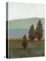 Evergreen II-Norman Wyatt, Jr.-Stretched Canvas