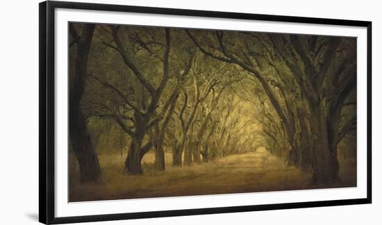 Evergreen, New Alley, Right Side-William Guion-Framed Giclee Print