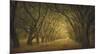Evergreen, New Alley, Right Side-William Guion-Mounted Giclee Print