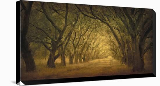 Evergreen, New Alley, Right Side-William Guion-Stretched Canvas