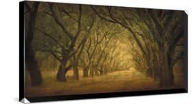 Evergreen, New Alley, Right Side-William Guion-Stretched Canvas