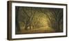 Evergreen, New Alley, Right Side-William Guion-Framed Art Print