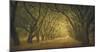Evergreen, New Alley, Right Side-William Guion-Mounted Art Print