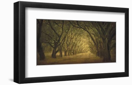 Evergreen, New Alley, Right Side-William Guion-Framed Art Print