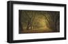 Evergreen, New Alley, Right Side-William Guion-Framed Art Print