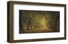 Evergreen, New Alley, Right Side-William Guion-Framed Art Print